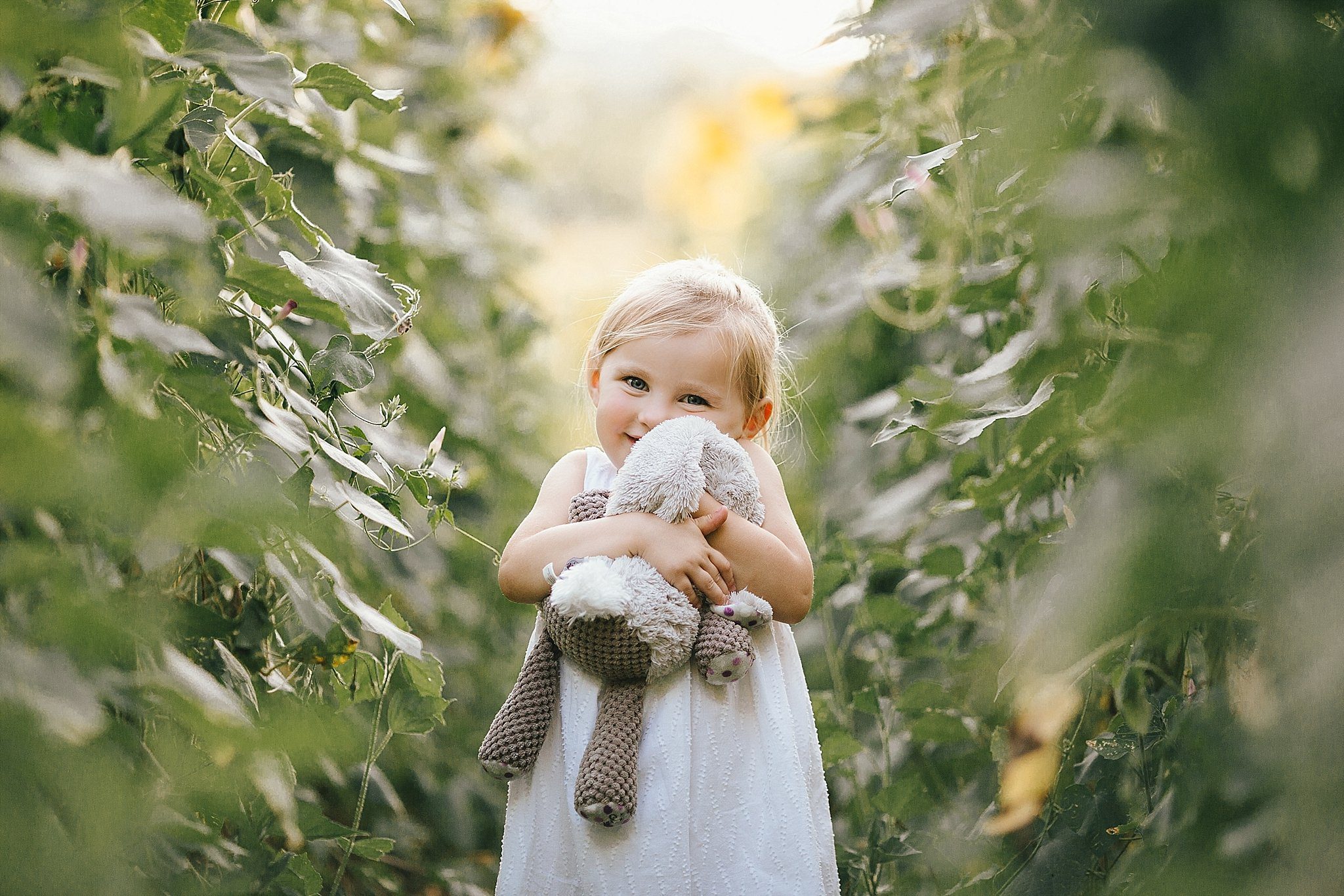 Sunflower Fields in Knoxville | Erin Morrison Photography www.erinmorrisonphotography.com