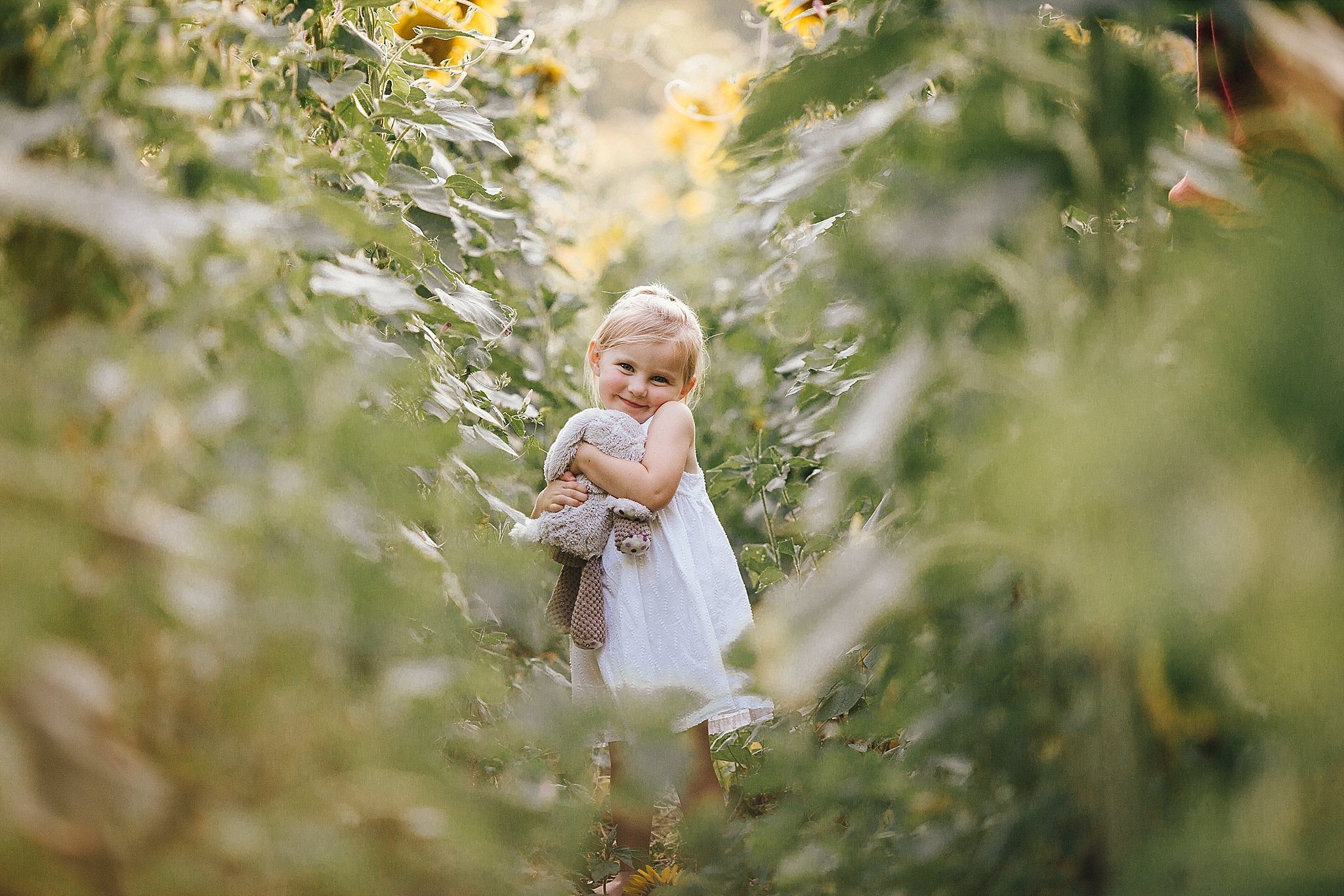 Sunflower Fields in Knoxville | Erin Morrison Photography www.erinmorrisonphotography.com