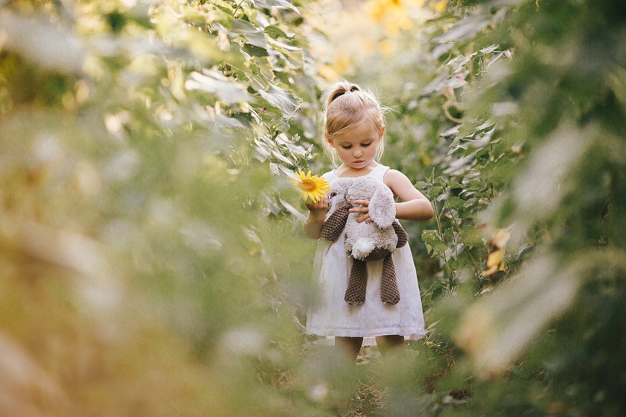 Sunflower Fields in Knoxville| Erin Morrison Photography www.erinmorrisonphotography.com