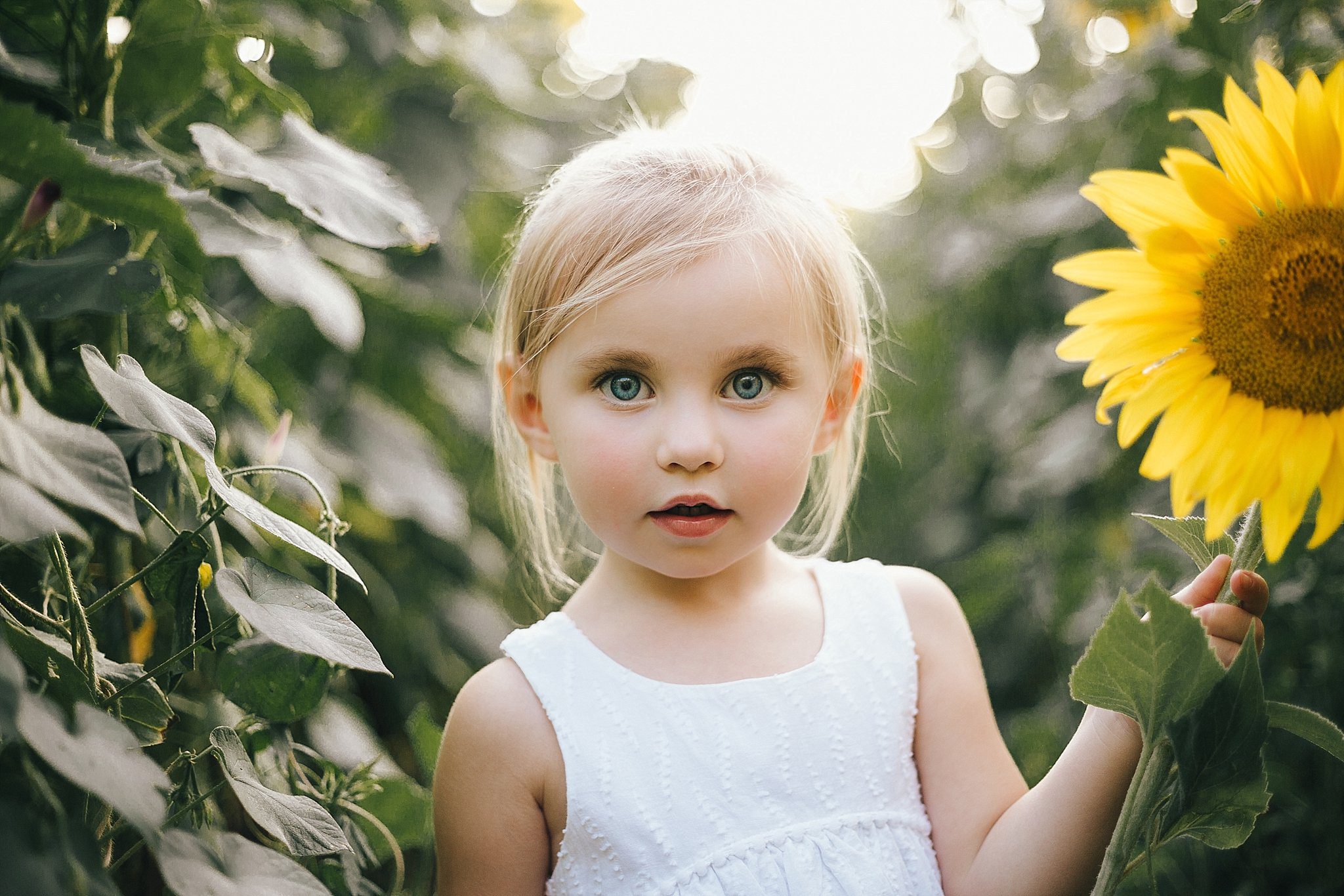 Knoxville Sunflower Fields | Erin Morrison Photography www.erinmorrisonphotography.com