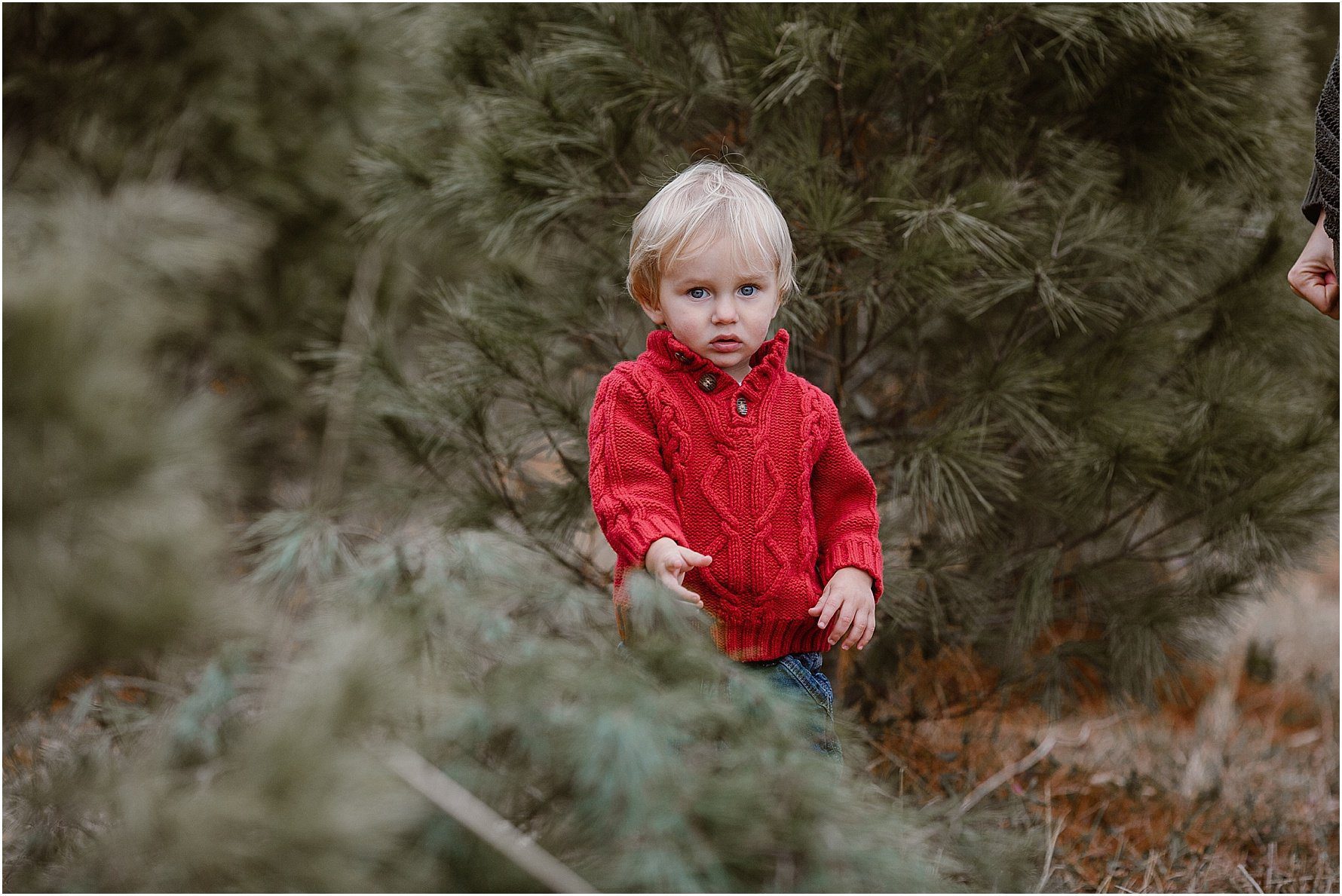 Christmas Tree Farm Family Photos in Knoxville | Erin Morrison Photography www.erinmorrisonphotography.com