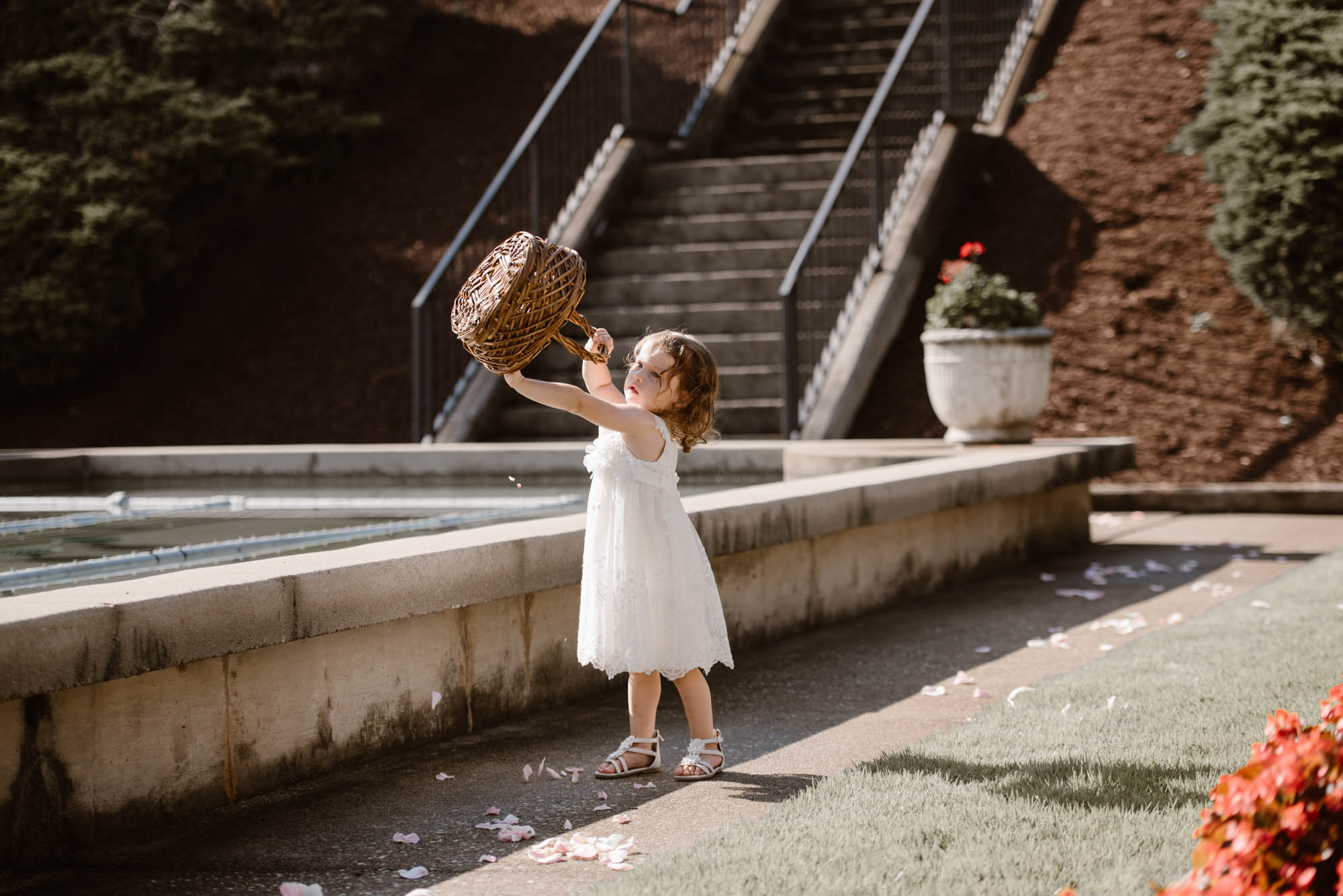 Why You Need A Professional Wedding Photographer 