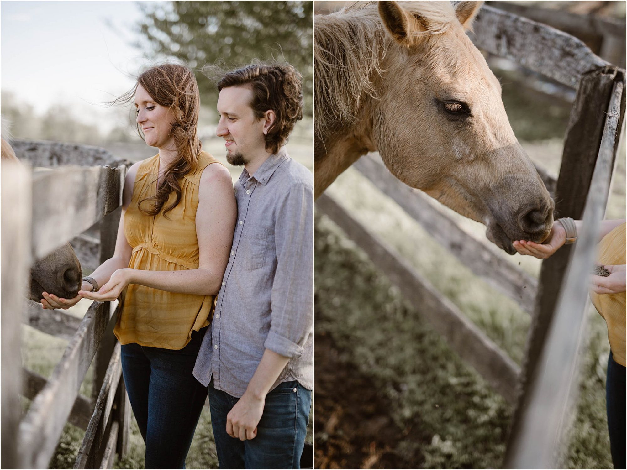 Adult girl and boy feeding horse at Hunter Valley Farm