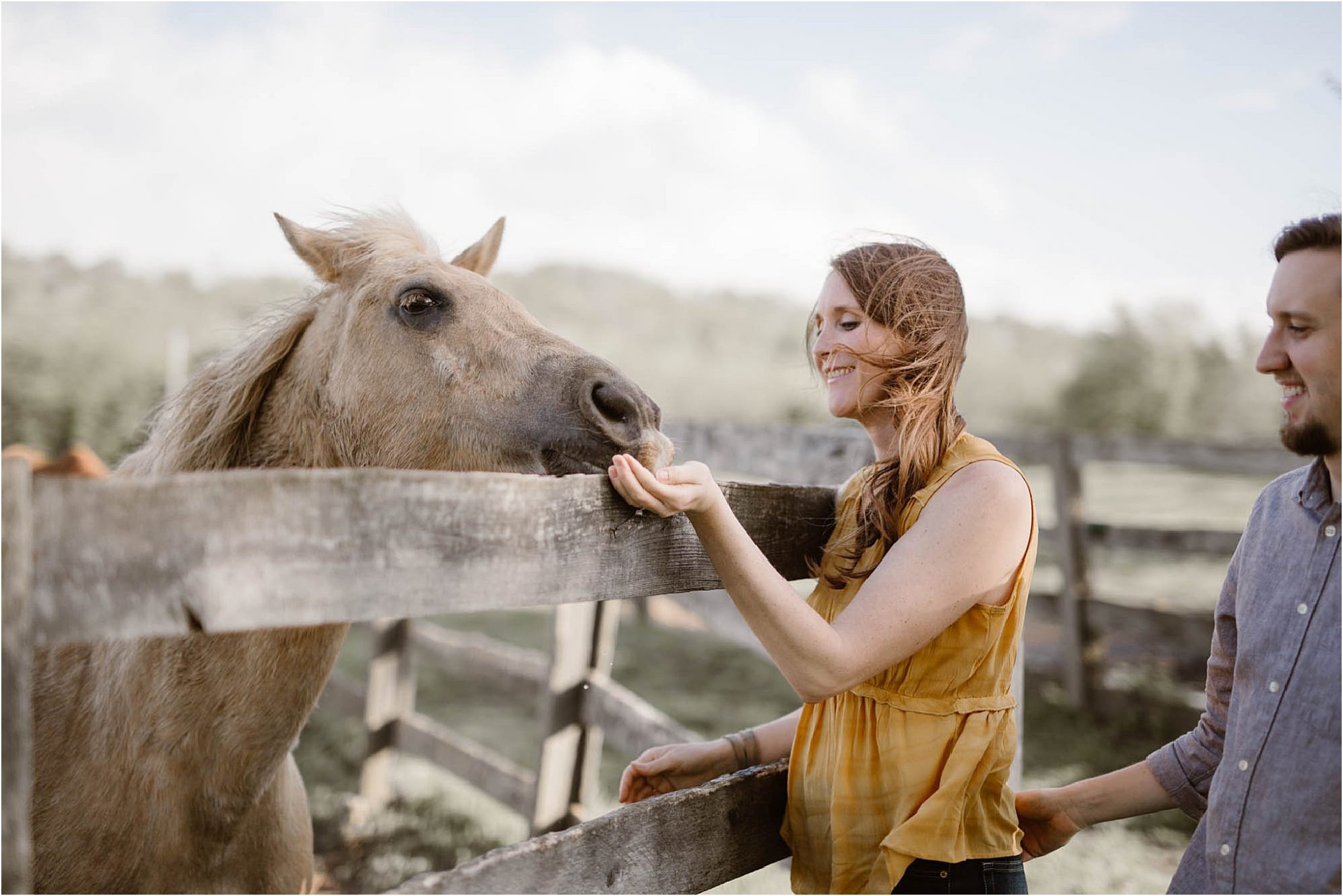 Girl in yellow shirt feeding horse over fence at farm