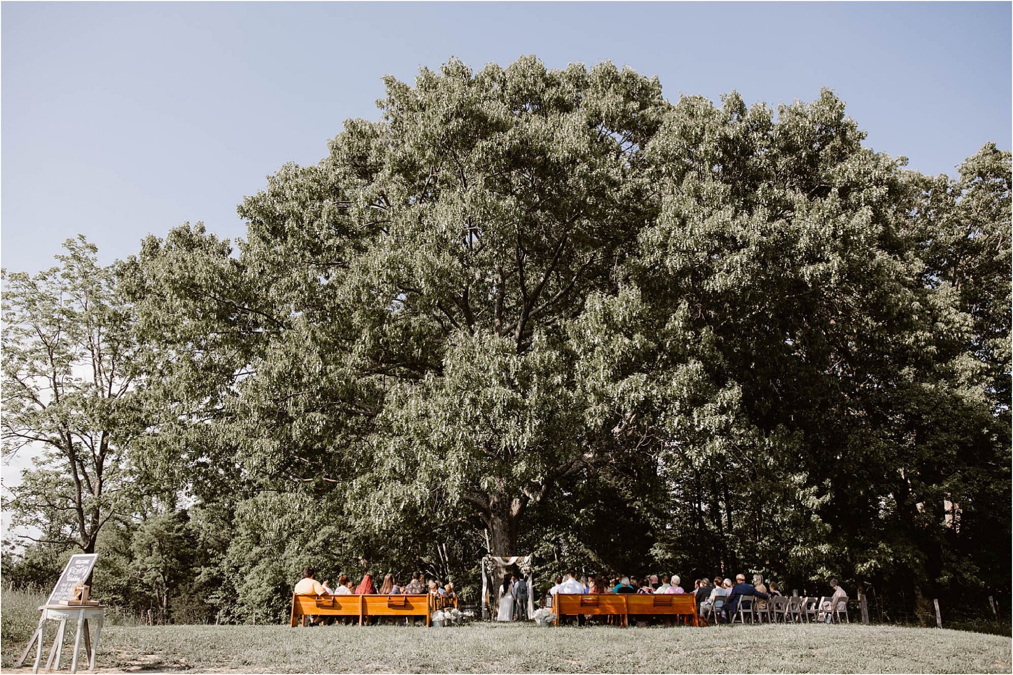 wedding ceremony under large tree with pews