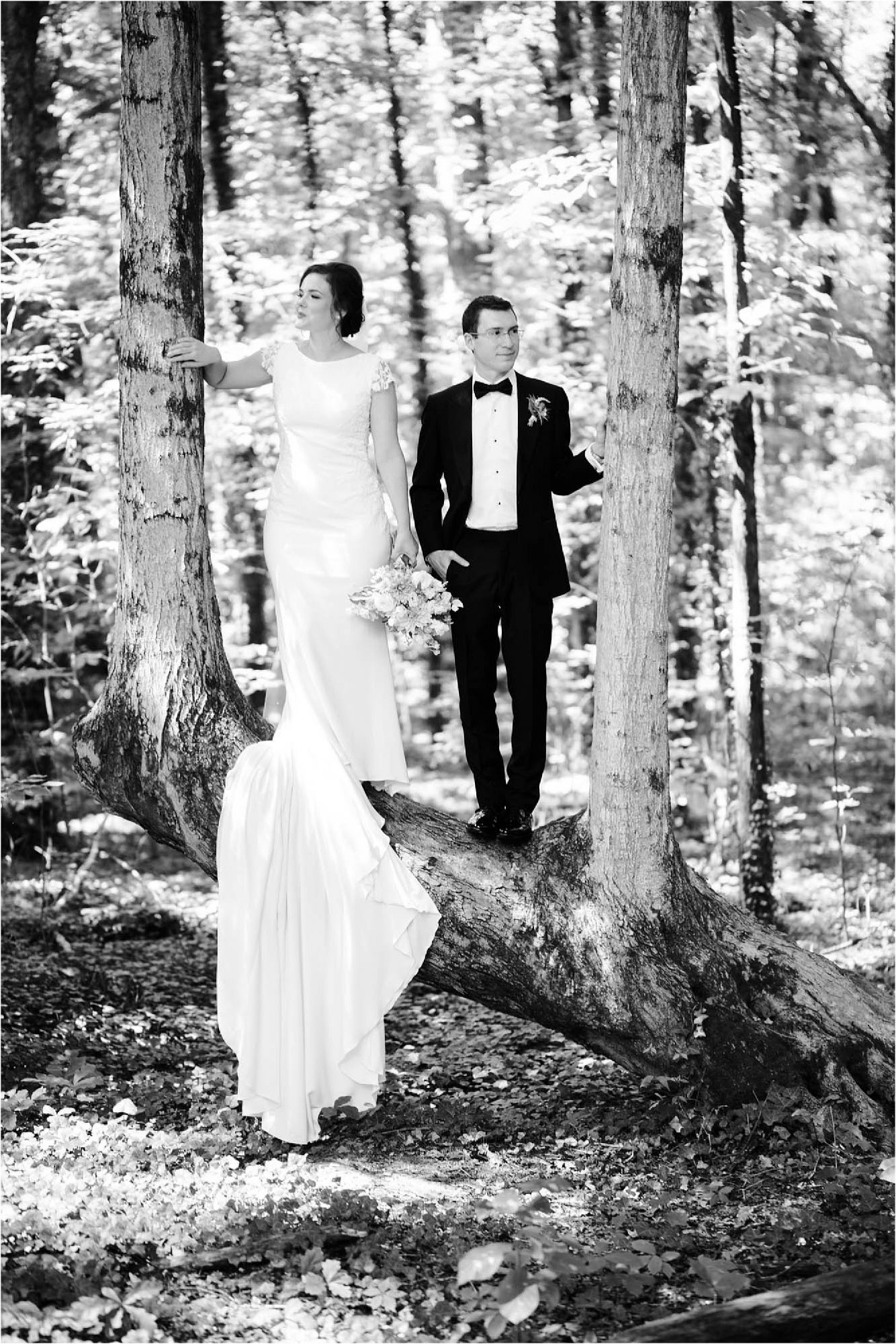 bride and groom standing on tree at RT Lodge