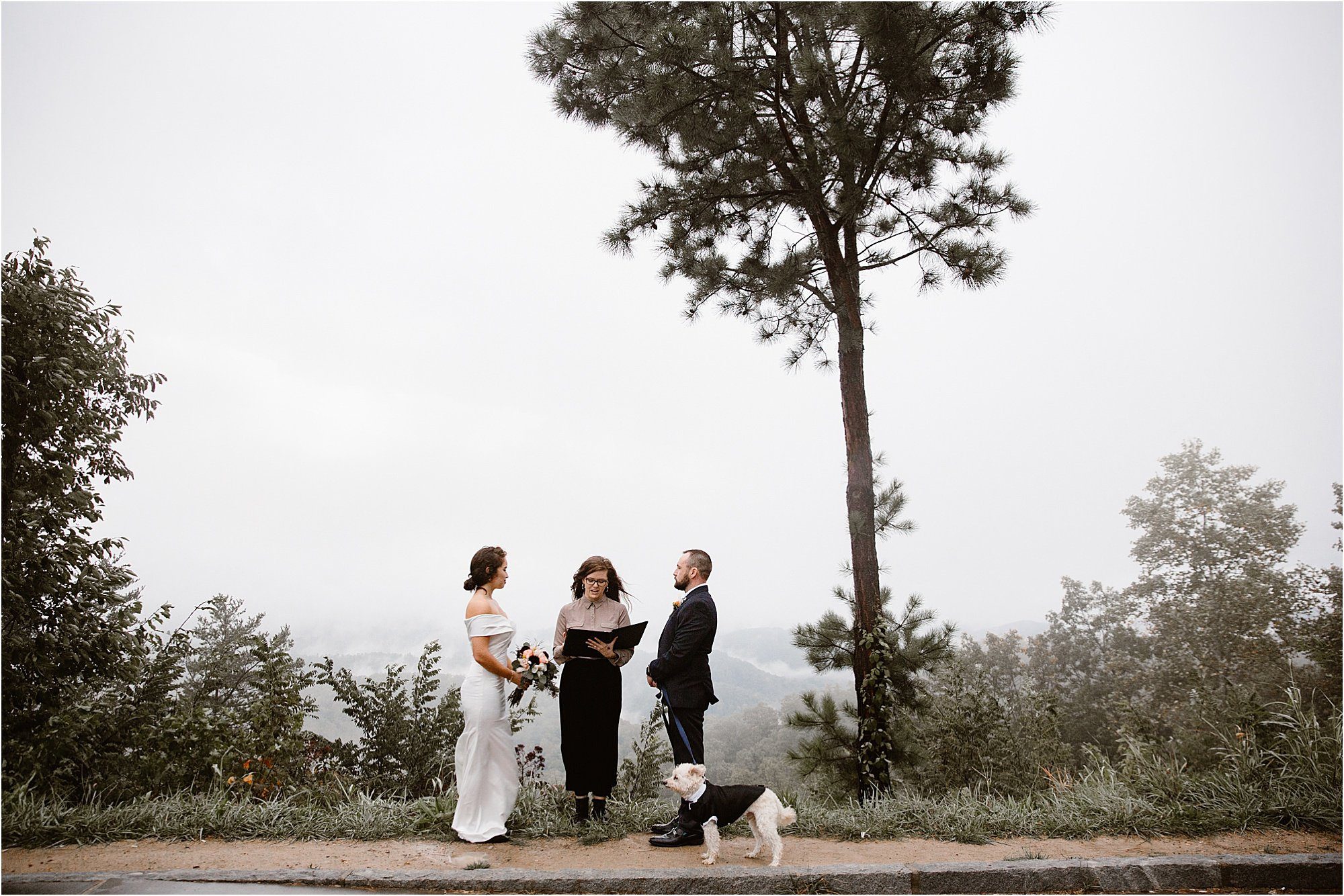 Rainy elopement on the Foothills Parkway