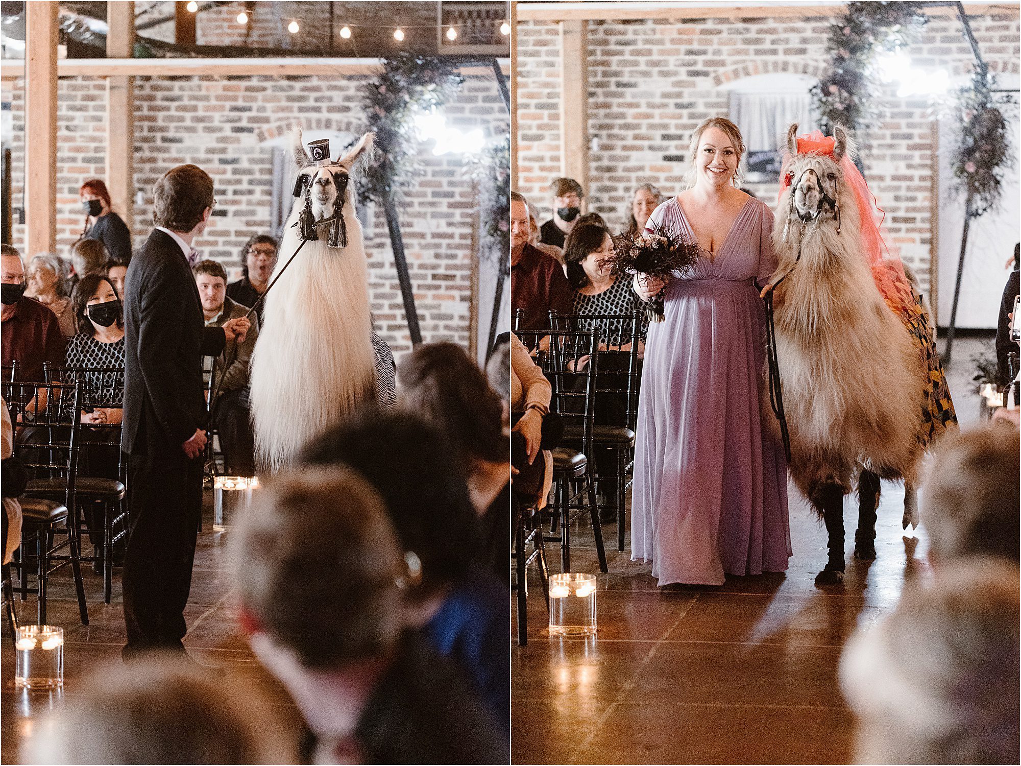 Llama flower girl and llama ring bearer at wedding