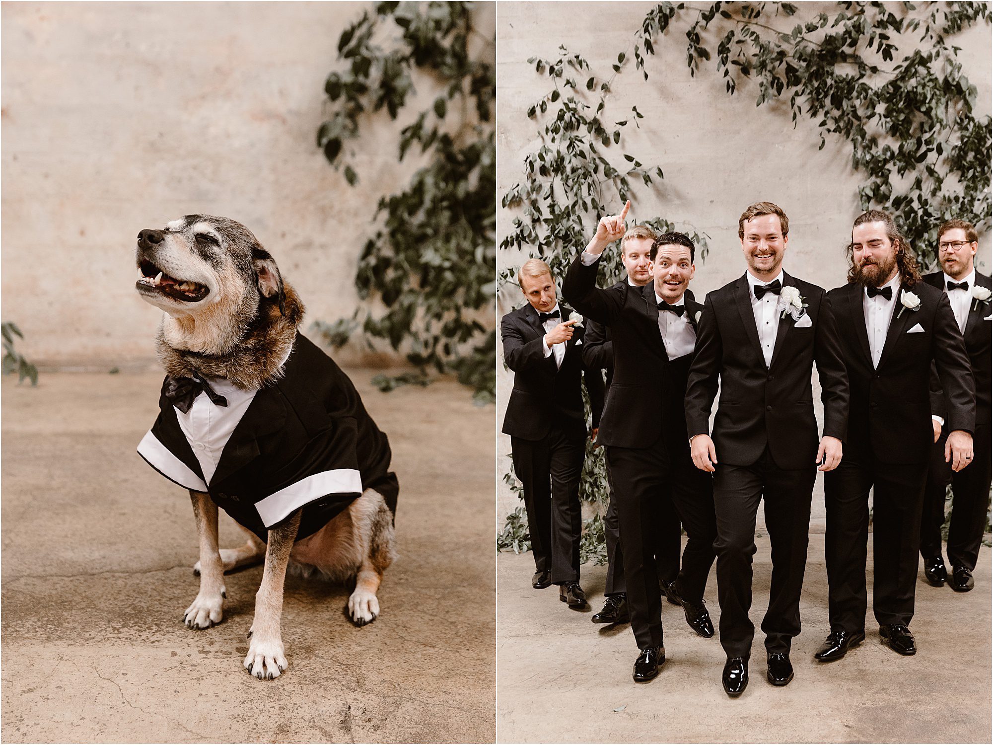 groom and groomsmen photo with dog