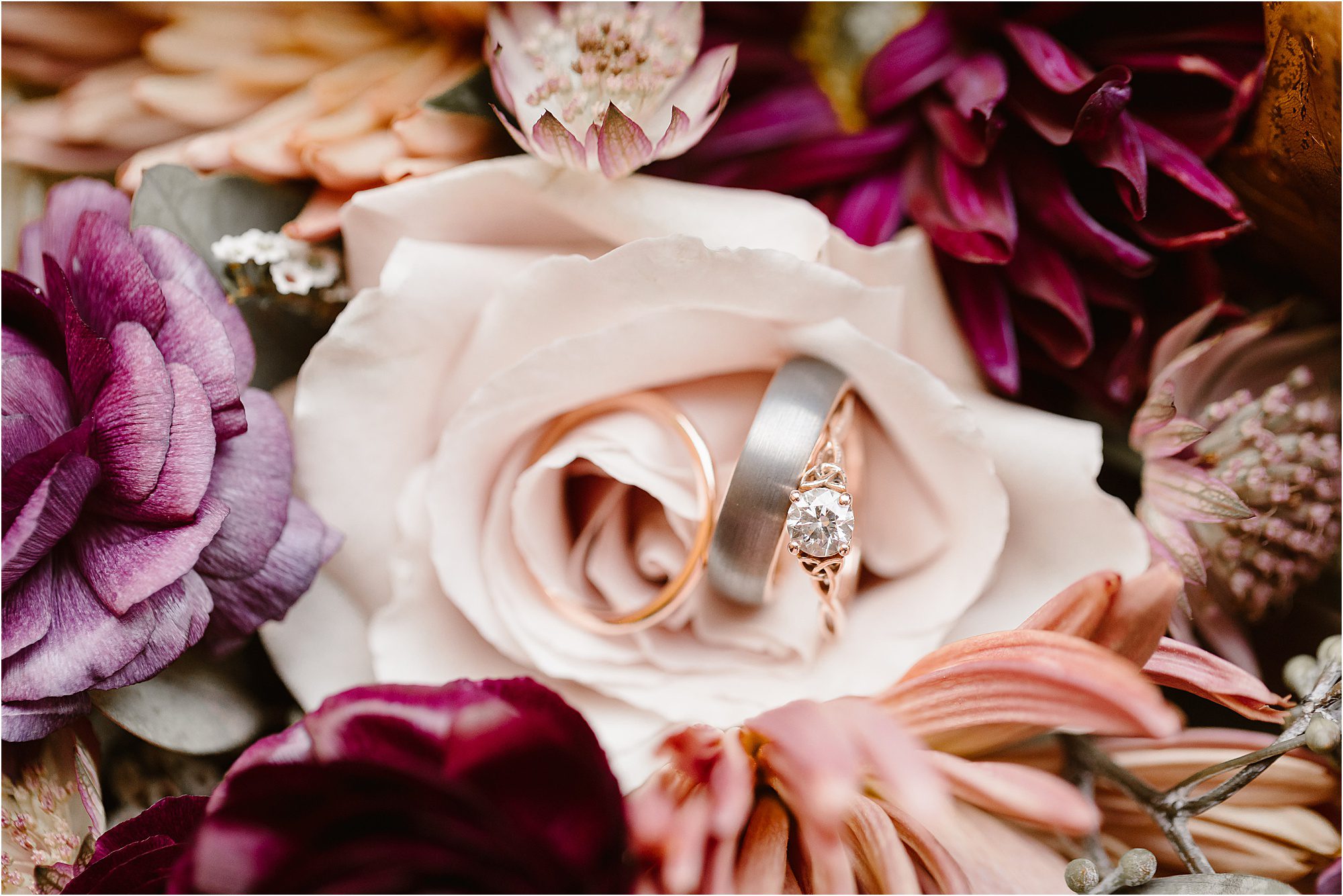 wedding rings on a pink rose