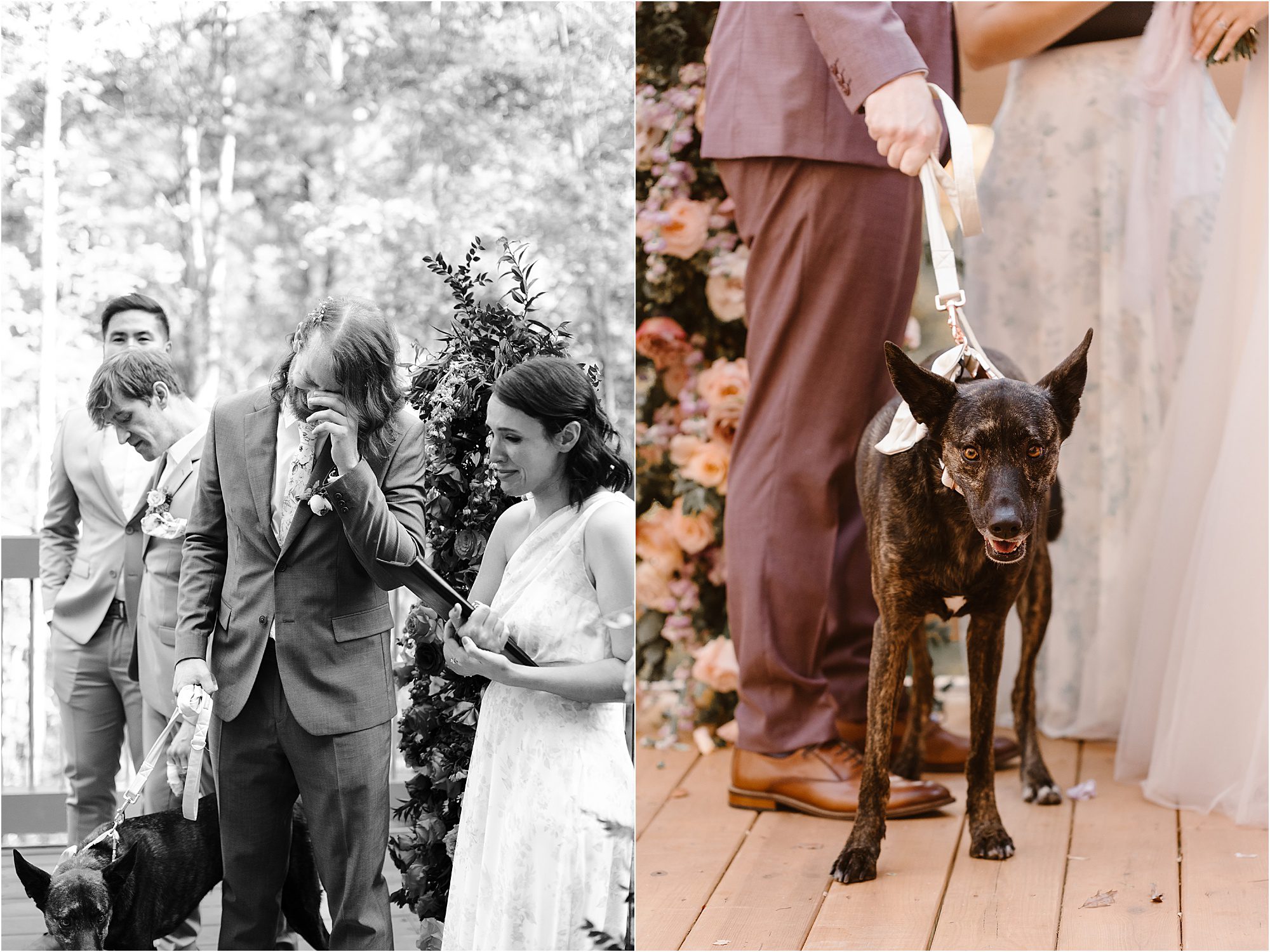 groom cries while watching bride walk down aisle at wedding while holding black dog on leash