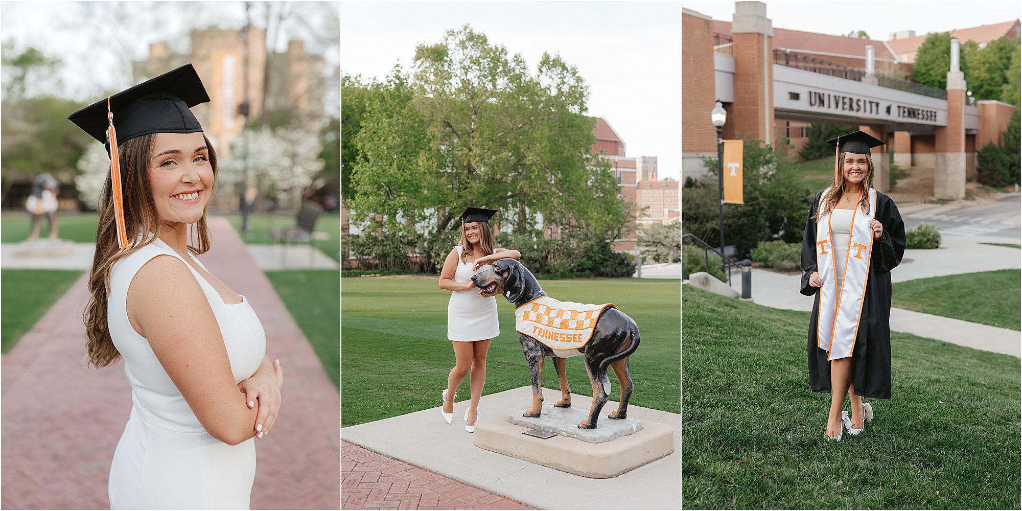 A woman in a white dress and graduation cap poses, smiling on a campus path, takes Graduation Photos at The University of Tennessee with the mascot statue, and wears her gown and stole by the university sign.