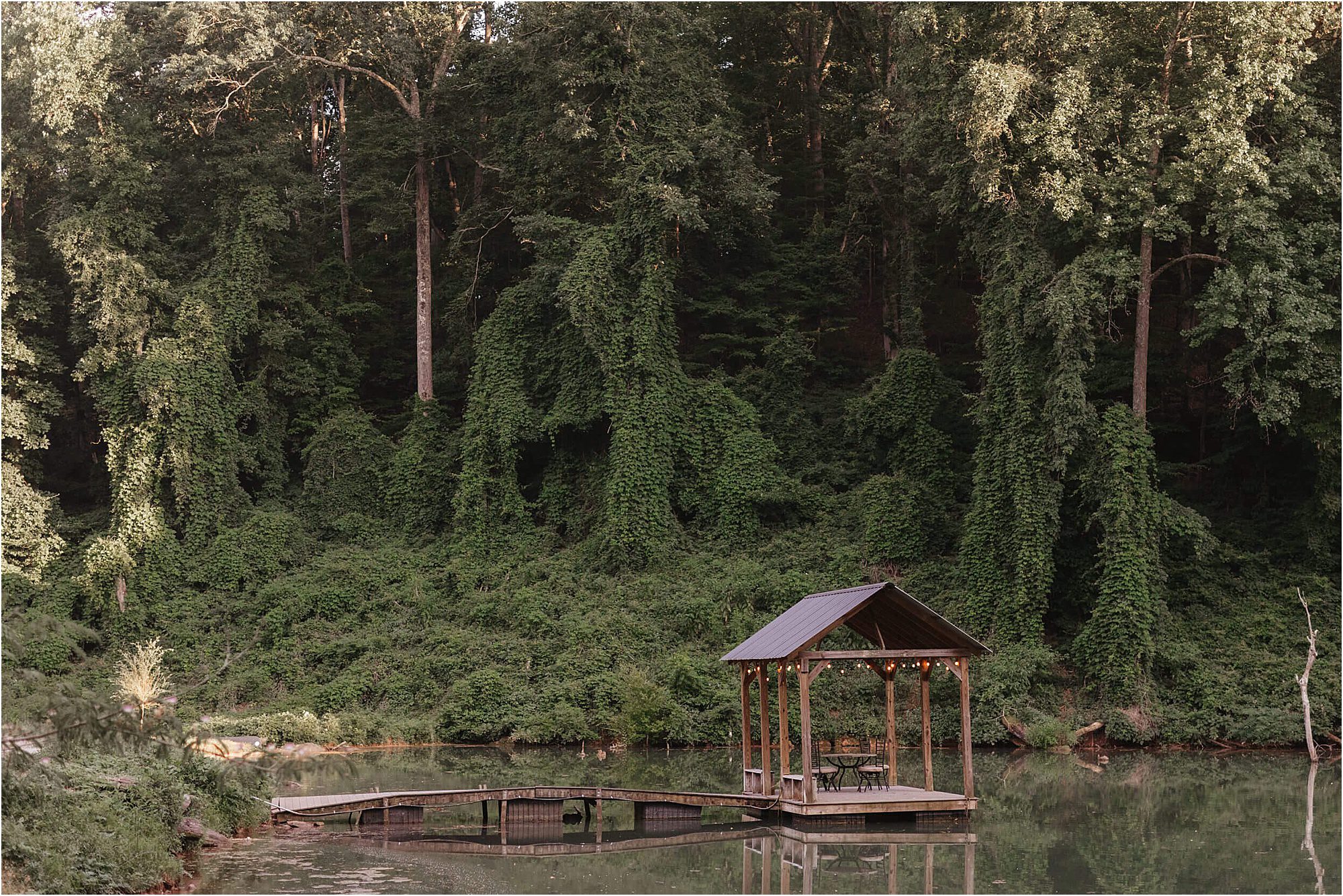 A small wooden dock with a covered seating area stands over calm water, surrounded by dense, green forest and large trees covered in vines—the perfect setting for a lakeside engagement session.